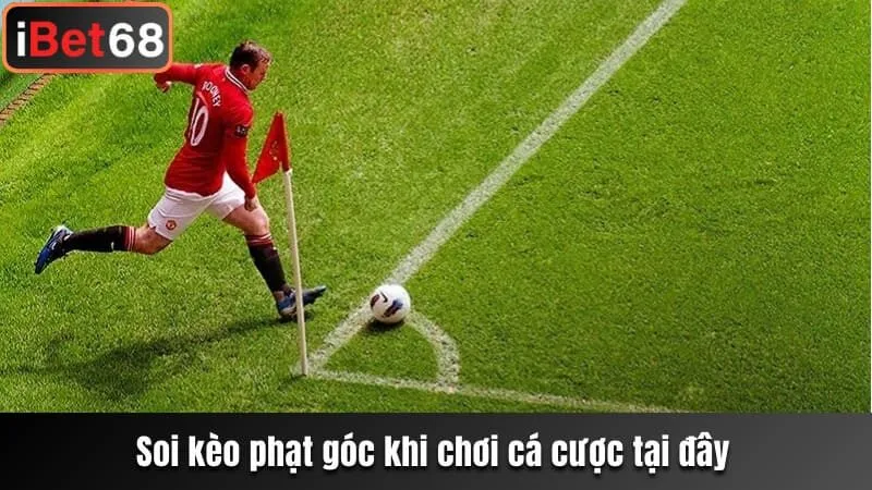 Soi kèo phạt góc khi chơi cá cược tại đây 
